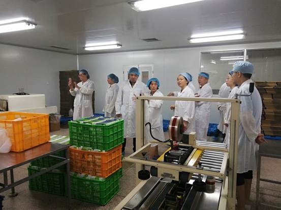 说明: E:\闽江师专\网站建设\201807\金象药业\IMG_20180716_154329.jpg 说明: E:\闽江师专\网站建设\201807\金象药业\IMG_20180716_154329.jpg